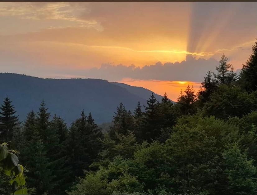 Gaestehaus Und Ferienwohnung Baechle Bad Peterstal-Griesbach Esterno foto