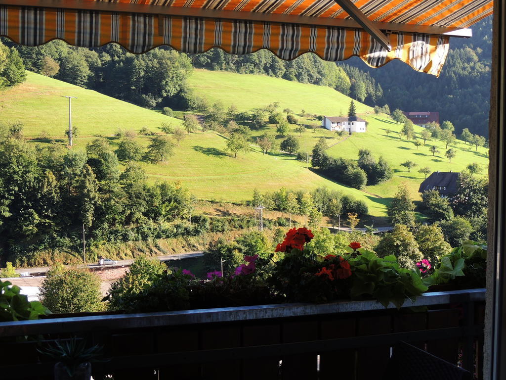 Gaestehaus Und Ferienwohnung Baechle Bad Peterstal-Griesbach Esterno foto